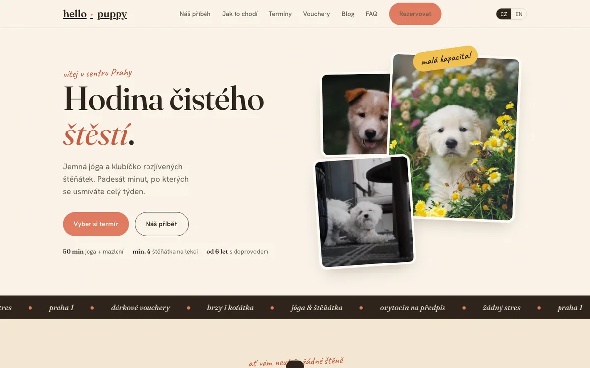 Hello Puppy – úvodní stránka na počítači